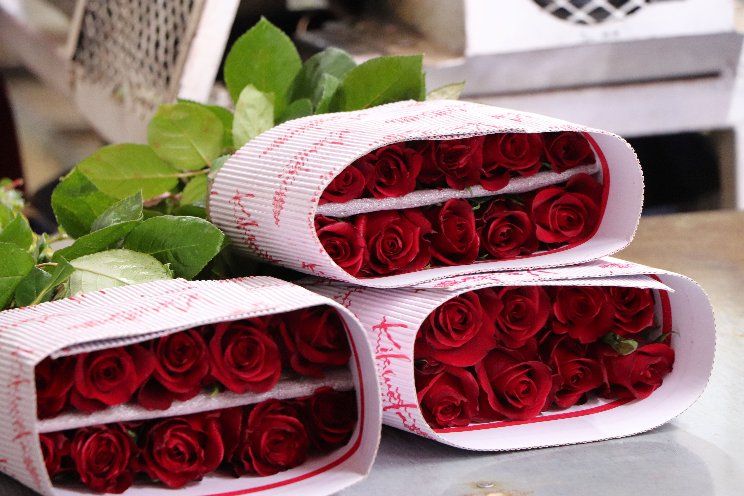IPD strengthens direct trade with cut flower producers IPD strengthens direct trade with cut flower producers