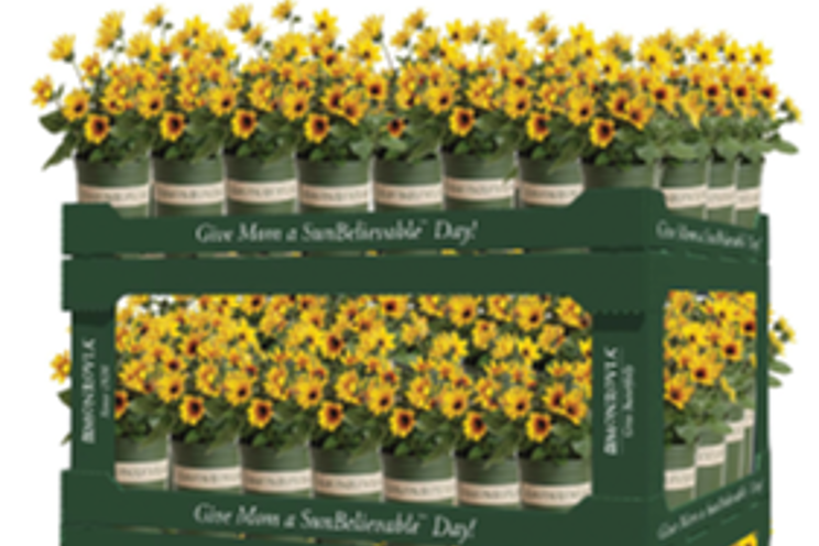 Make Mother’s Day SunBelievable Make Mother’s Day SunBelievable