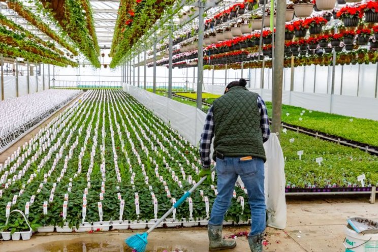 Protect your greenhouse with a risk-relevant insurance plan Protect your greenhouse with a risk-relevant insurance plan