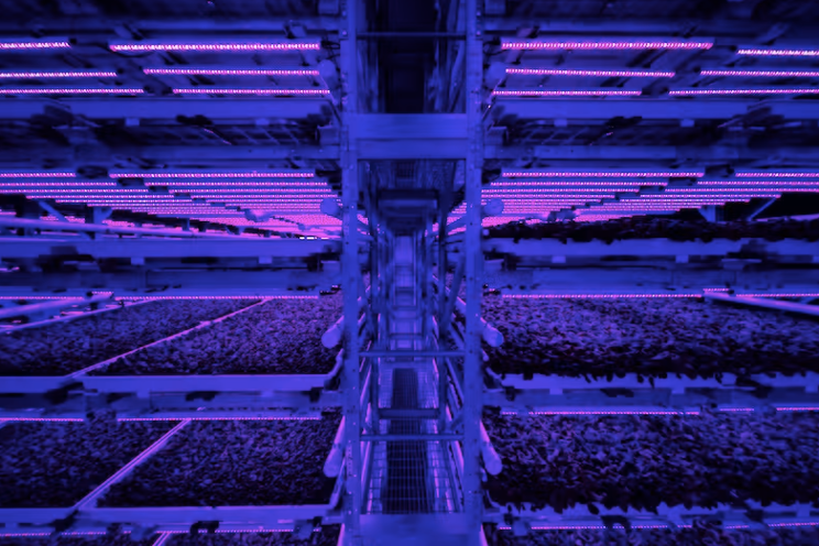 In another horti setback, Pittsburgh VF closes In another horti setback, Pittsburgh VF closes