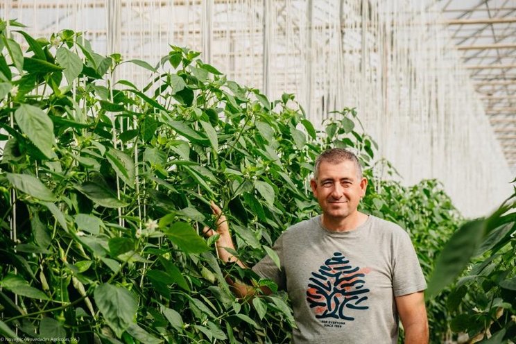 A greenhouse in Almeria achieves record size