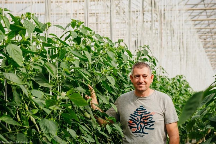 A greenhouse in Almeria achieves record size A greenhouse in Almeria achieves record size