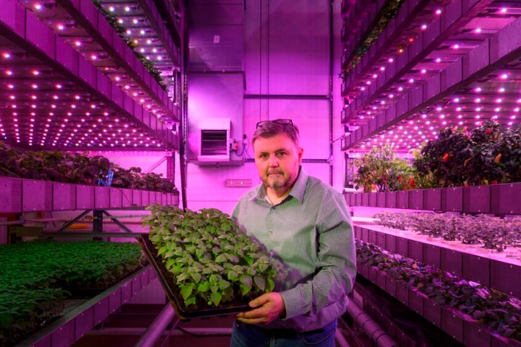 The future of food? Pioneers hail advances in VF The future of food? Pioneers hail advances in VF
