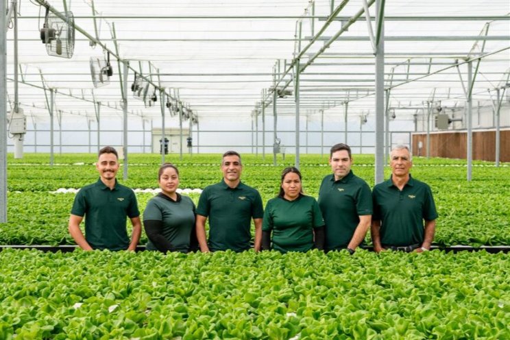 Teamwork is core value at Naples Fresh