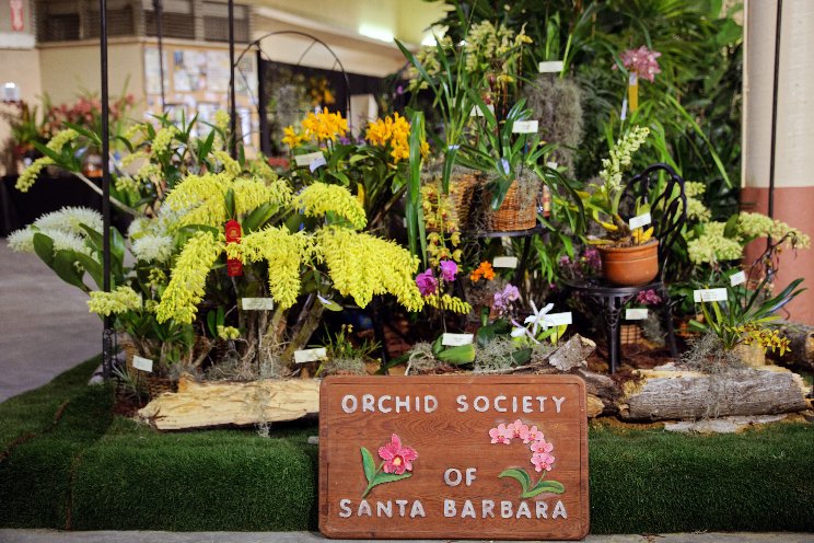 76thSantaBarbaraInternationalOrchidShow in March 2024