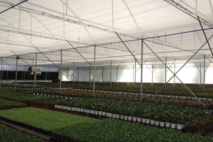 Double screens are a game-changer for modern growers Double screens are a game-changer for modern growers