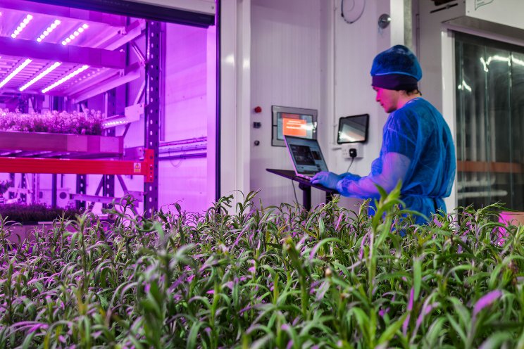 Engineering efficiencies in vertical farming: a whole-systems approach Engineering efficiencies in vertical farming: a whole-systems approach