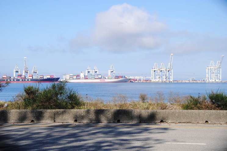 Chrysal expands services for sea freight of flowers Chrysal expands services for sea freight of flowers