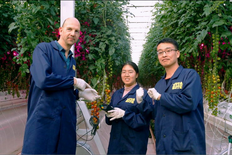 FoodVentures: A pioneer in international greenhouse operations