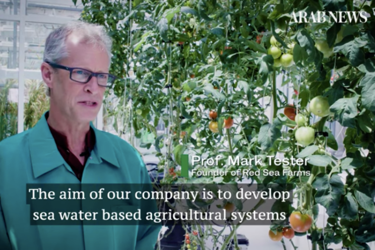 Salt water farming in a greenhouse Salt water farming in a greenhouse