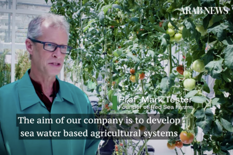 Salt water farming in a greenhouse