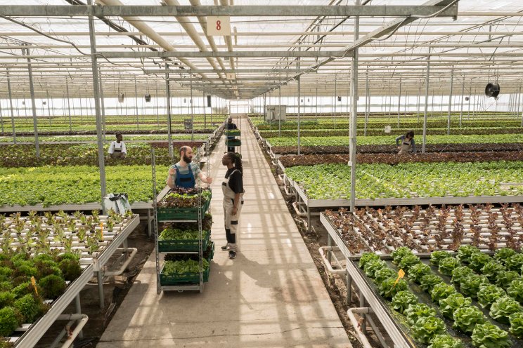 GLASE launches new greenhouse systems short course