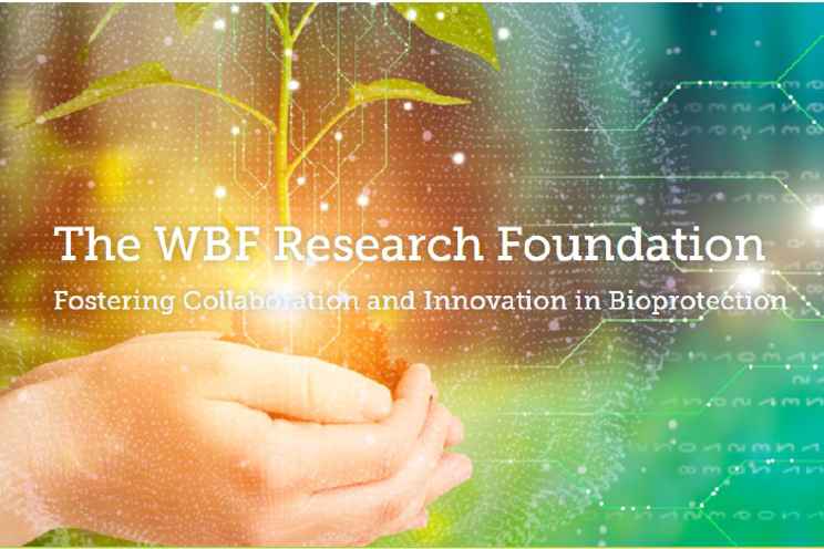 WBF appoints visionary steering council 