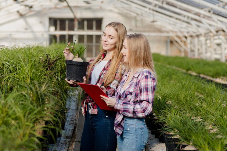 University of Florida Greenhouse Training Courses kick off June 3