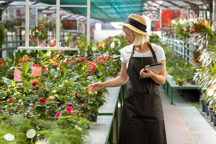 6 new edible and garden offerings from Burpee for 2024 6 new edible and garden offerings from Burpee for 2024