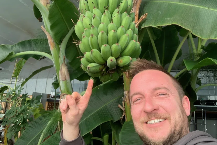 Saskatoon man grows tropical fruit in homemade greenhouse