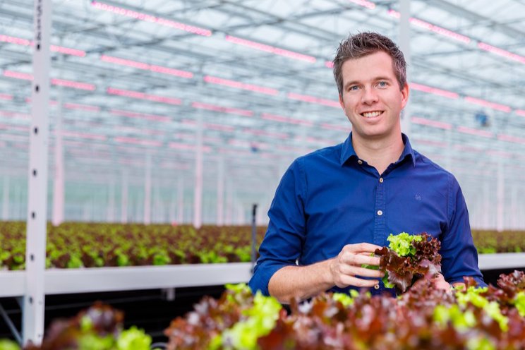 Far red in tomato cultivation: a good idea or not? Far red in tomato cultivation: a good idea or not?