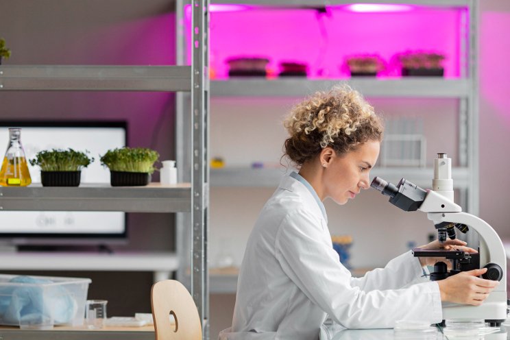 Chemical differences in indoor and sungrown cannabis