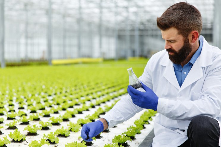 So you want to grow without soil? So you want to grow without soil?