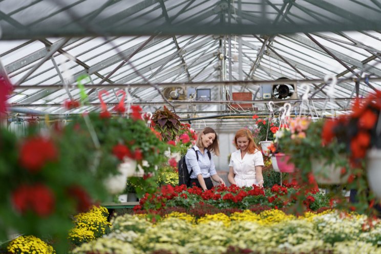 The trends that will drive floriculture in 2025 The trends that will drive floriculture in 2025