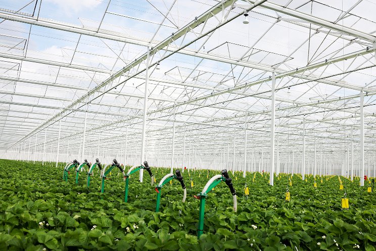 Entomatic automated beneficials dispenser saves money Entomatic automated beneficials dispenser saves money