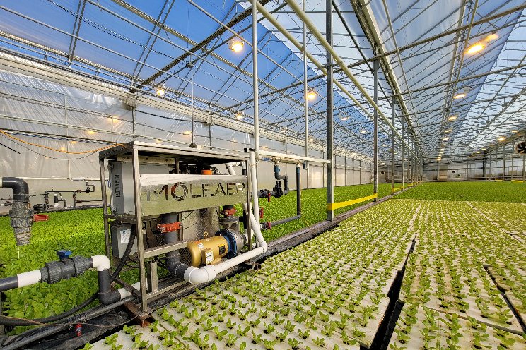 Partnership to offer nanobubble tech to horti industry