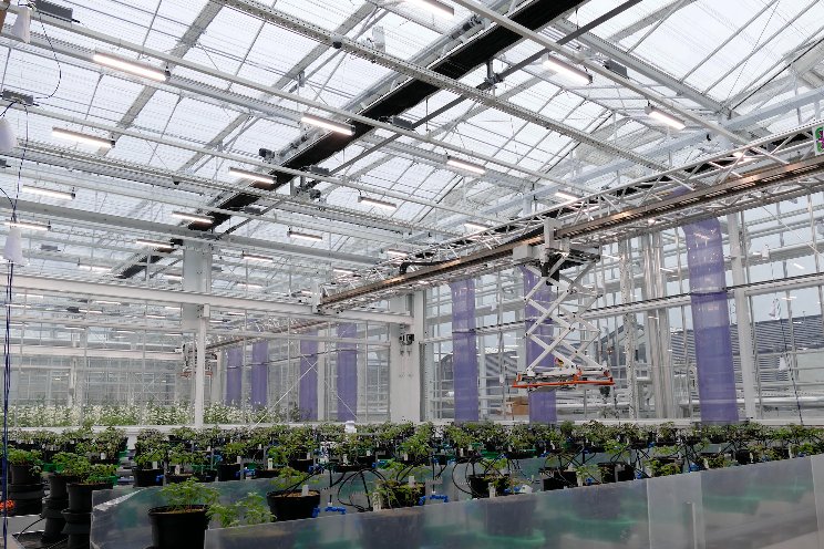 Fluence’s VYPR Fixtures improve efficiency, saving growers thousands Fluence’s VYPR Fixtures improve efficiency, saving growers thousands