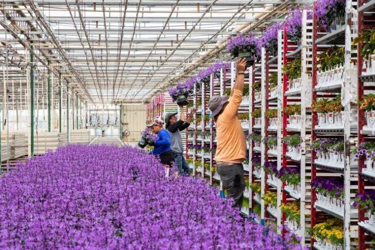 Horticulture trends within your control in an uncertain economy Horticulture trends within your control in an uncertain economy