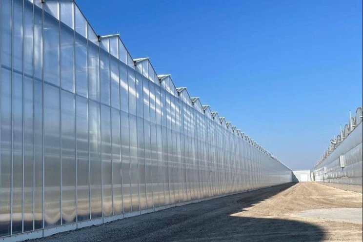 4 factors to consider before upgrading greenhouse coverings 4 factors to consider before upgrading greenhouse coverings