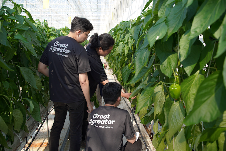 Unlocking greenhouse productivity through data-driven HR