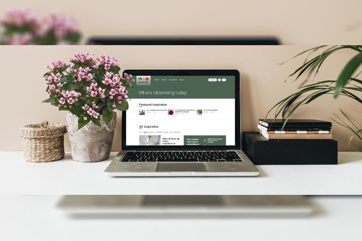 What’s b(l)ooming today – Inspiration for florists and buyers What’s b(l)ooming today – Inspiration for florists and buyers