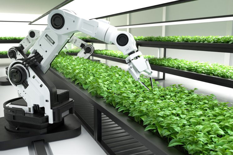 A new six-armed pollinating robot for greenhouses
