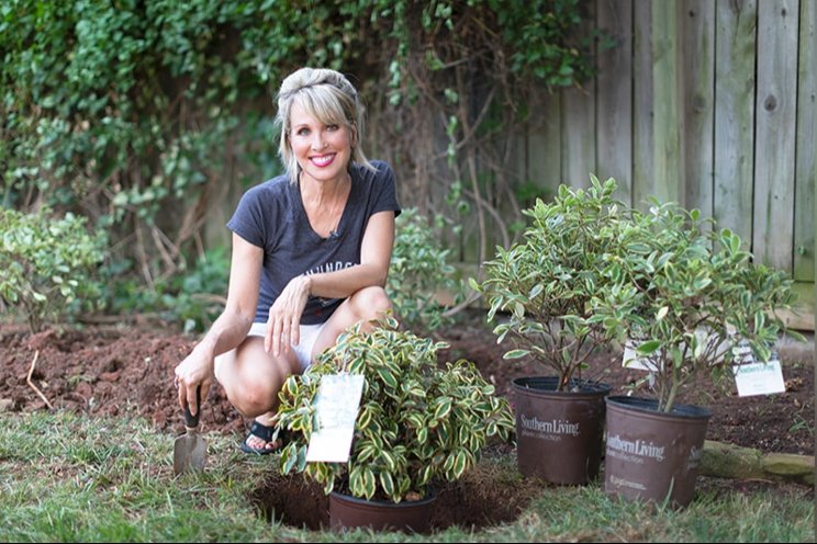 PDSI partners with garden influencer Linda Vater PDSI partners with garden influencer Linda Vater