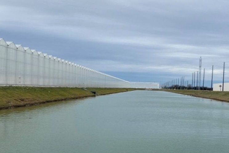 A new approach to cooling greenhouse irrigation water