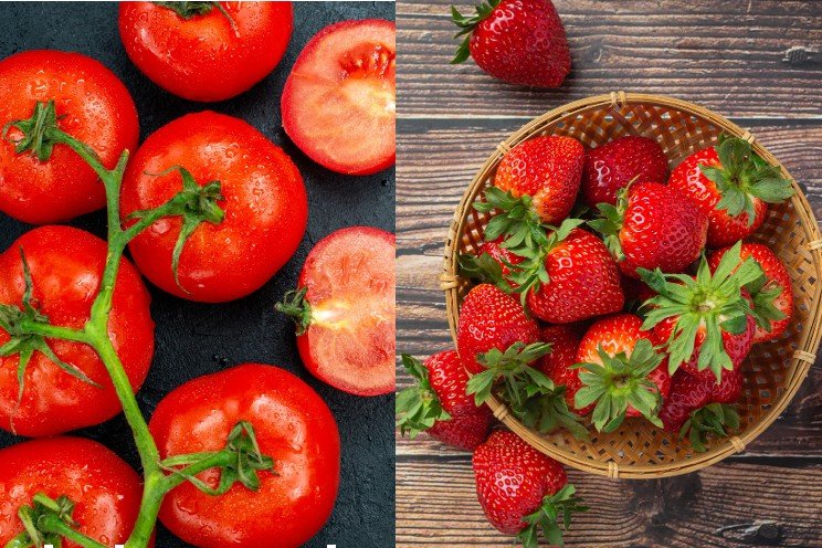 Tomato, strawberry research done under glass