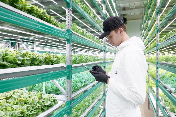 Vertical farm tech provider iFarm moves HQ to UAE
