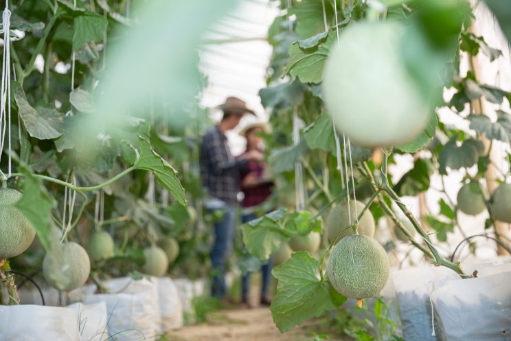 Fewer employees working in the agri sector in 2021