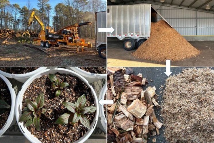 Growing from the ground up with wood fiber Growing from the ground up with wood fiber