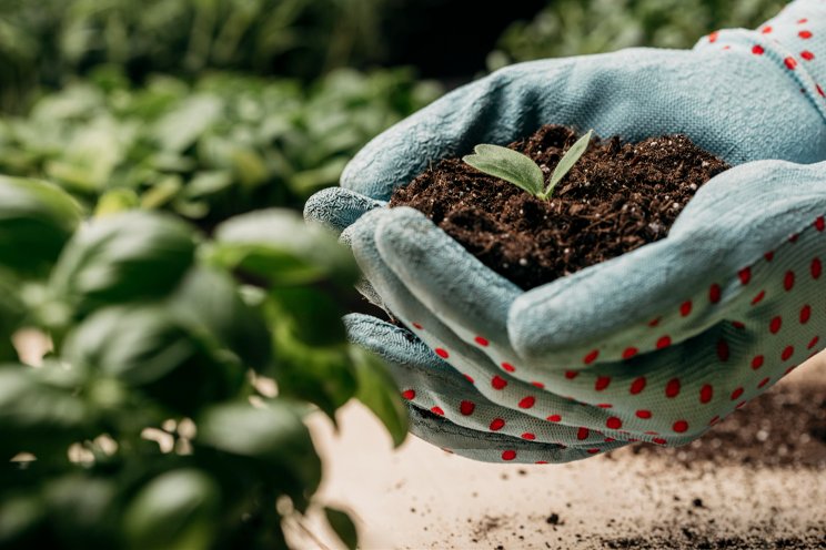 Canada approves DeltaGard SC Insecticide, containing deltamethrin Canada approves DeltaGard SC Insecticide, containing deltamethrin