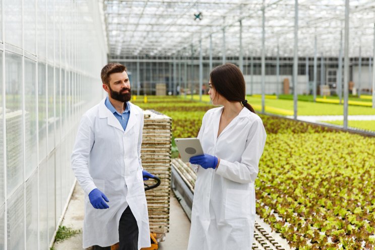 Researchers get proactive in reducing plant stress Researchers get proactive in reducing plant stress