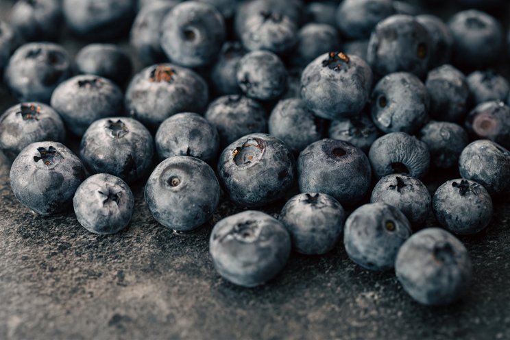 High-tech greenhouses yield bountiful blueberry harvests