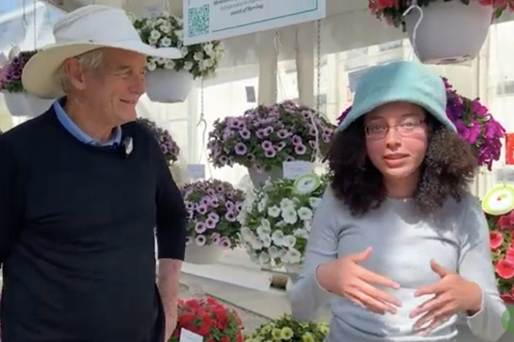 Breeding sisease resistance into petunias at Dmmen Orange