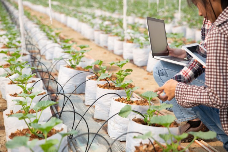 Cybersecurity: A guide for greenhouse cybersecurity