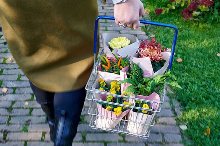Consumers divided over expected purchasing power Consumers divided over expected purchasing power