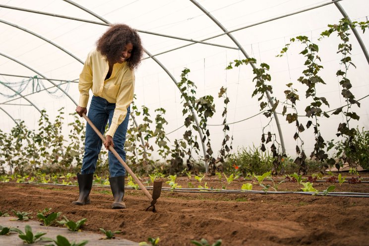 Build new greenhouses on existing soil says Delta South MLA Build new greenhouses on existing soil says Delta South MLA