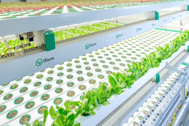 iFarm building the world's largest hi-tech VF in Mexico