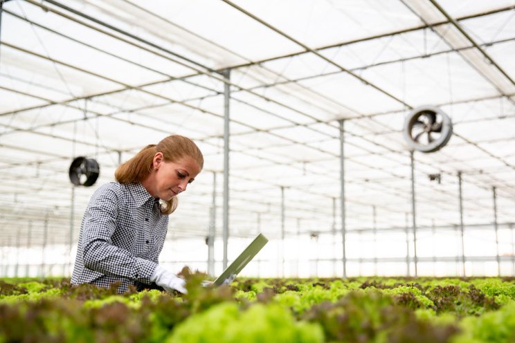 Innovative greenhouse tech wins SXSW Innovation Award Innovative greenhouse tech wins SXSW Innovation Award