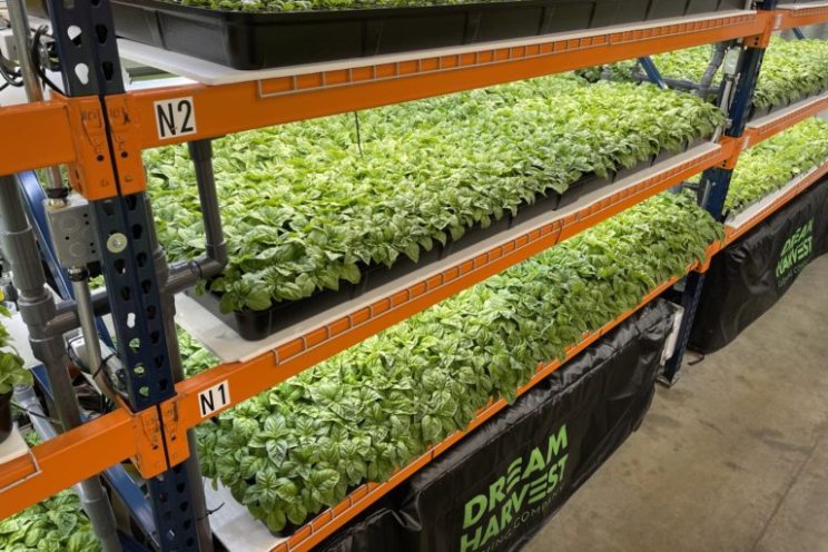 Houston-based VF to auction off $8M in unused assets Houston-based VF to auction off $8M in unused assets