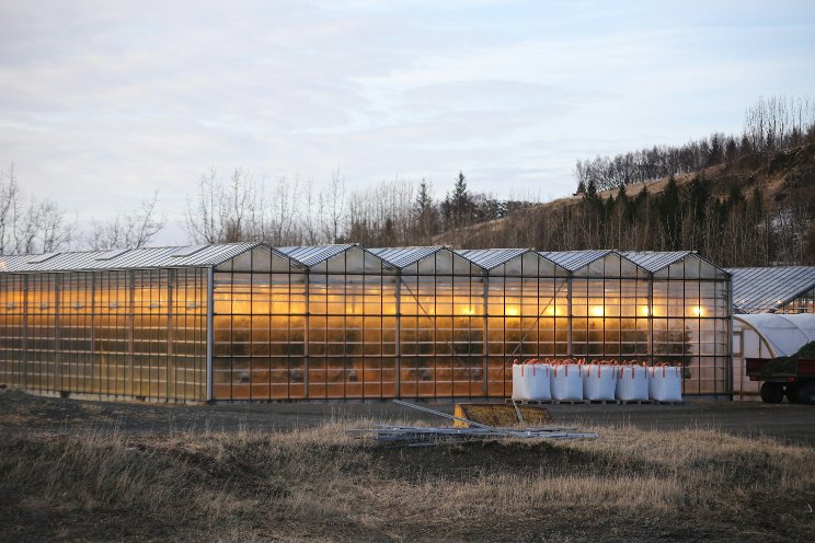 Exploring Solarwoven: A closer look at the greenhouse workhorse