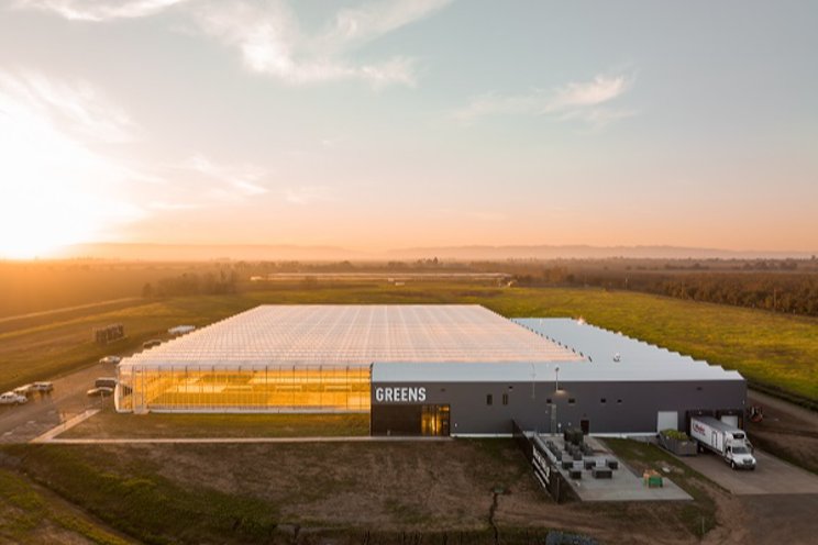 Sustainable supply chain to Gotham Greens growth Sustainable supply chain to Gotham Greens growth
